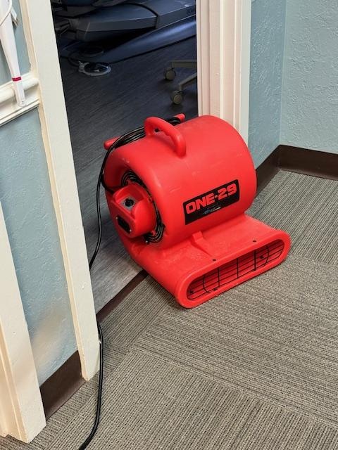 st. louis carpet cleaning