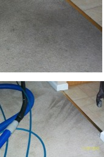 carpet cleaning St. Louis
