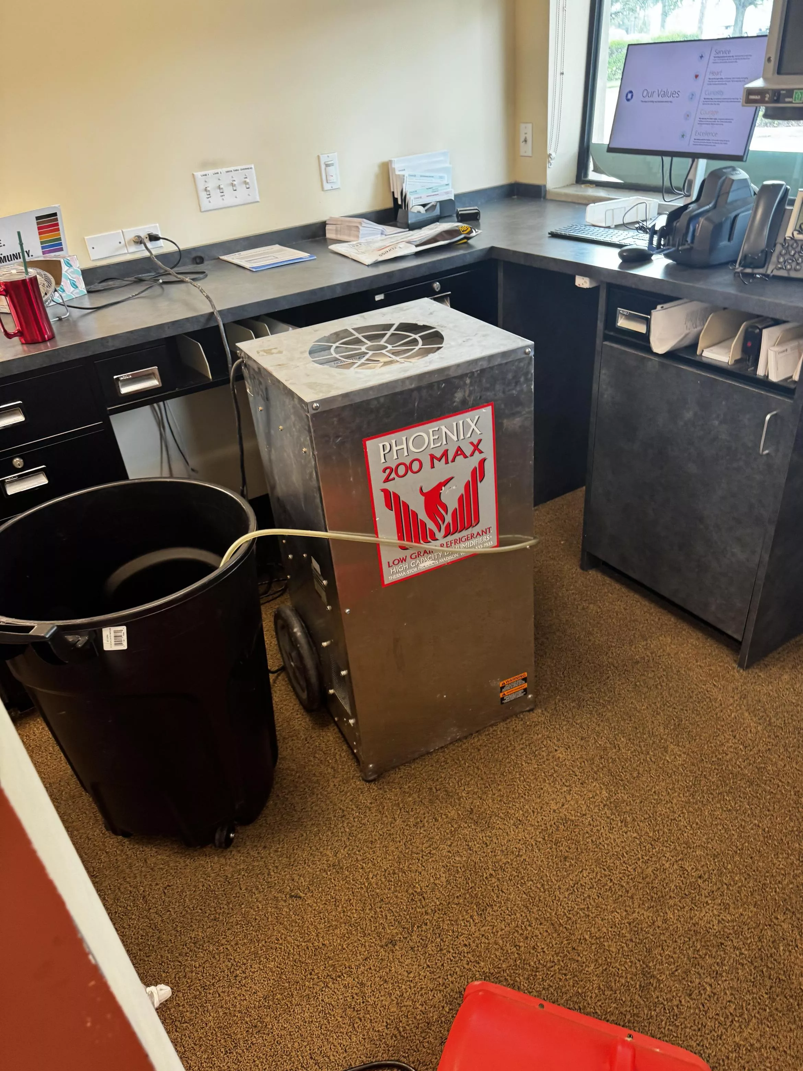 carpet cleaning st. louis