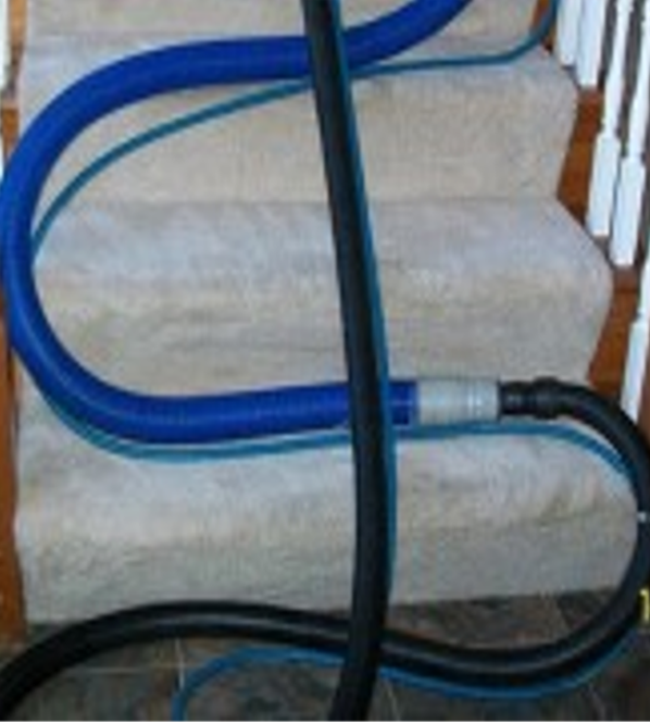 St. Louis carpet cleaners