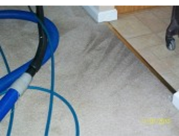 carpet cleaning st. louis
