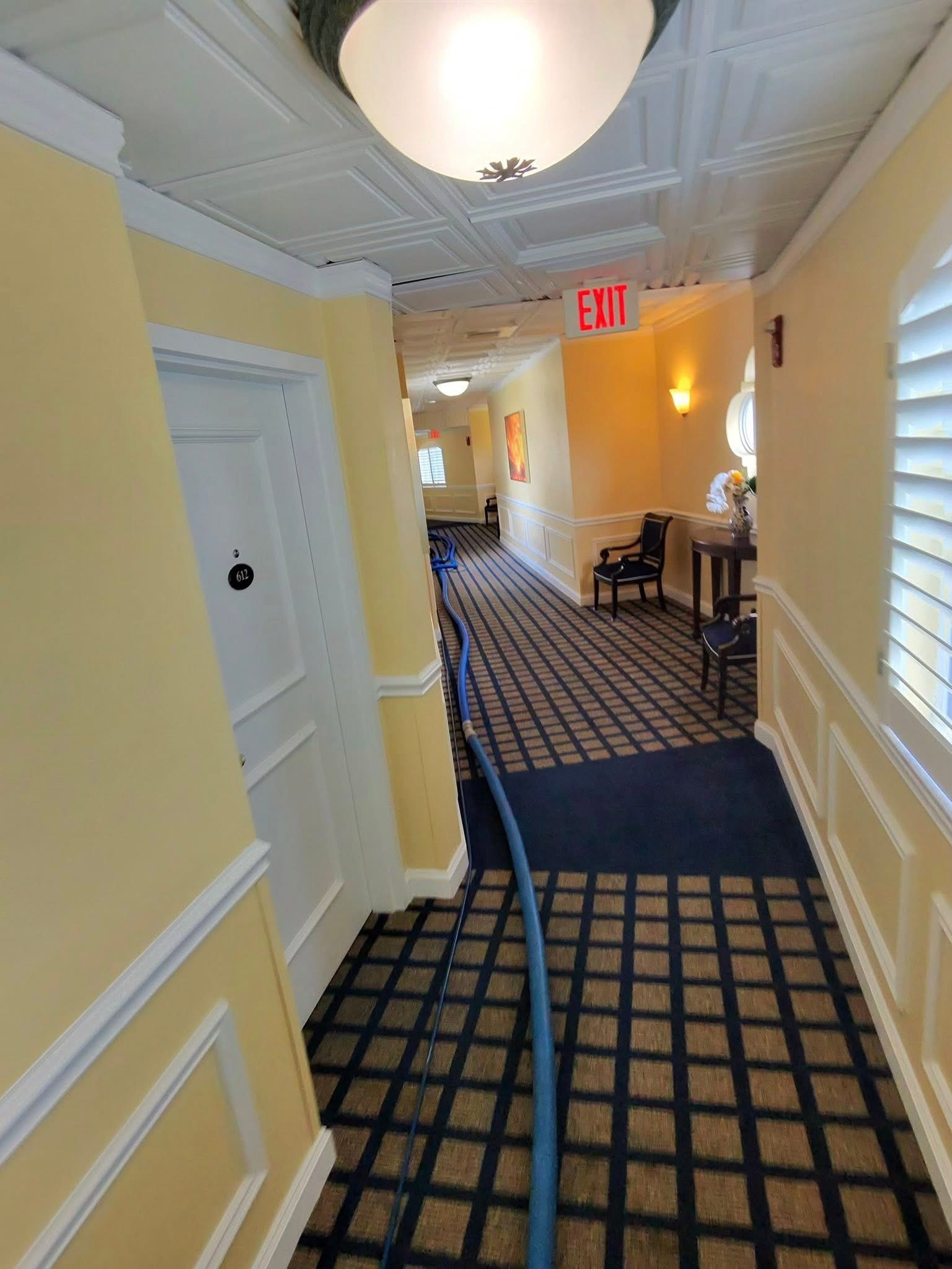 St. Louis carpet cleaning