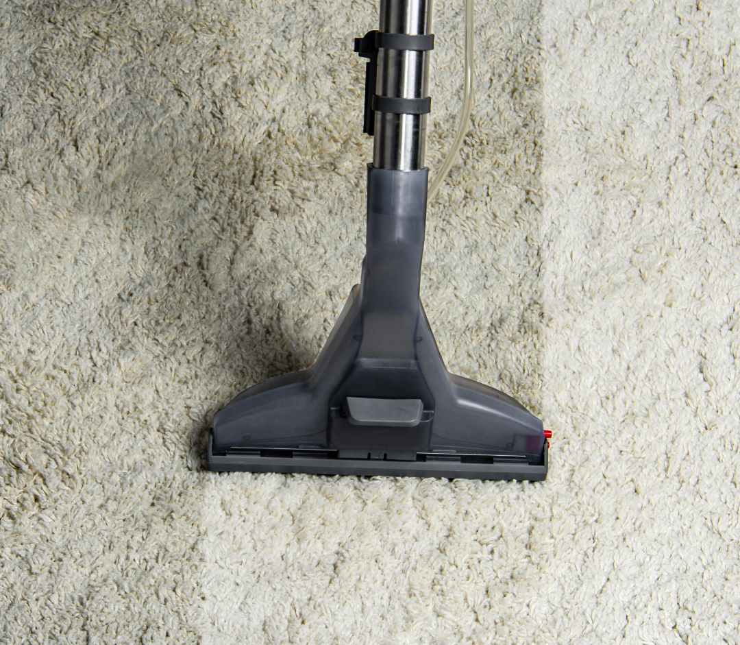 carpet cleaning St. Louis