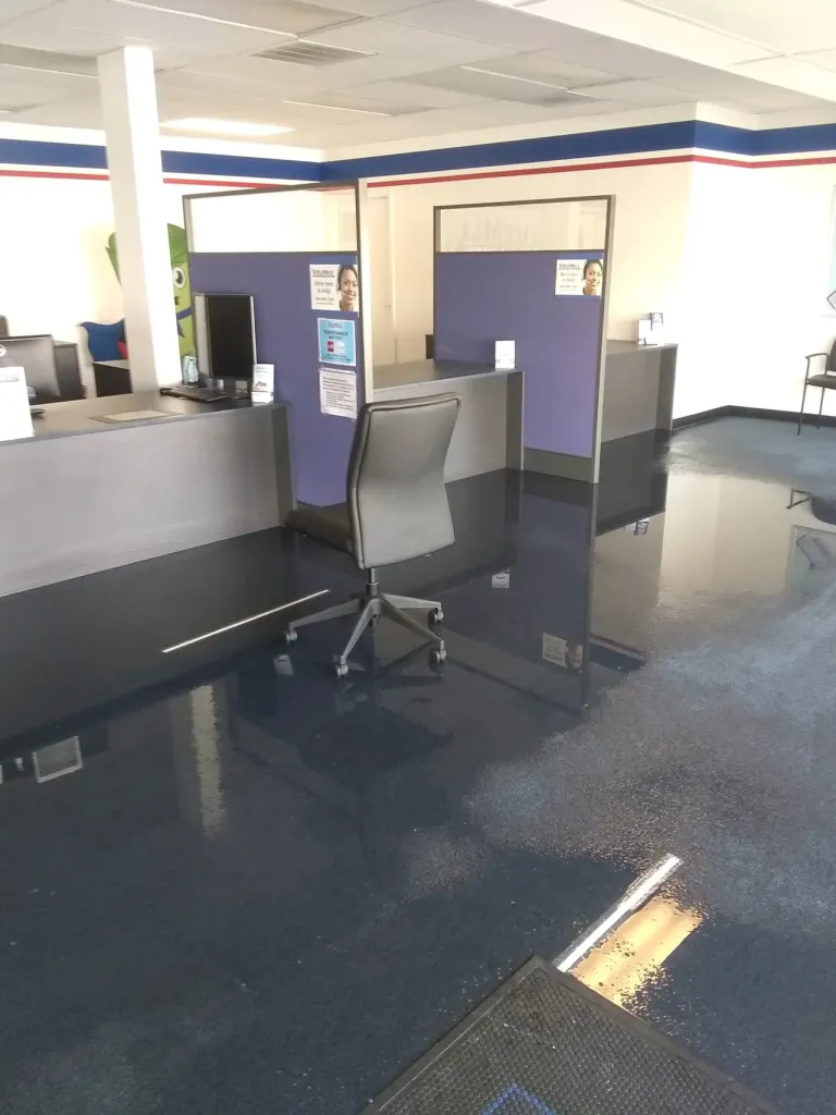 carpet cleaners st. louis