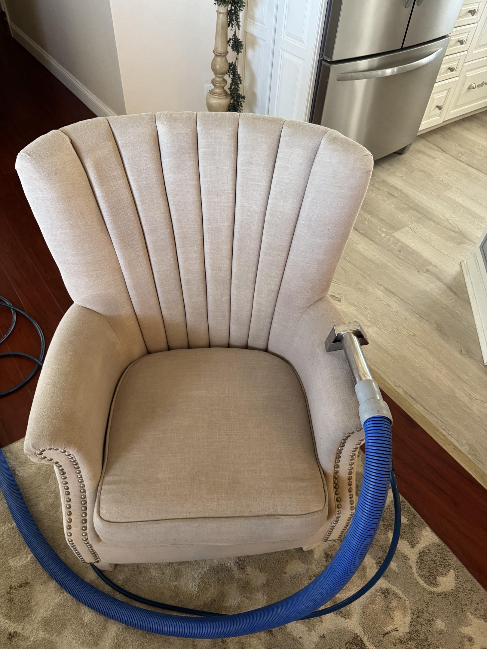 carpet cleaners st. louis