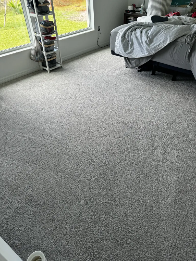 carpet cleaning St. Louis