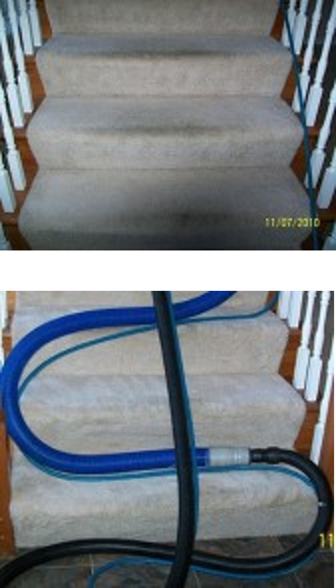 carpet cleaning st. louis