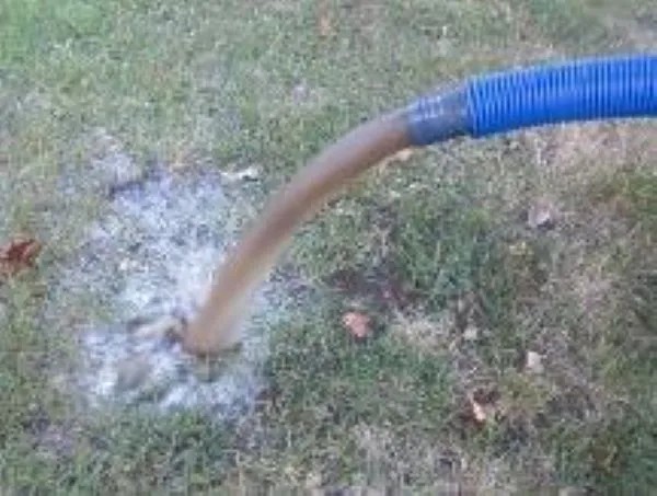 carpet cleaners st. louis