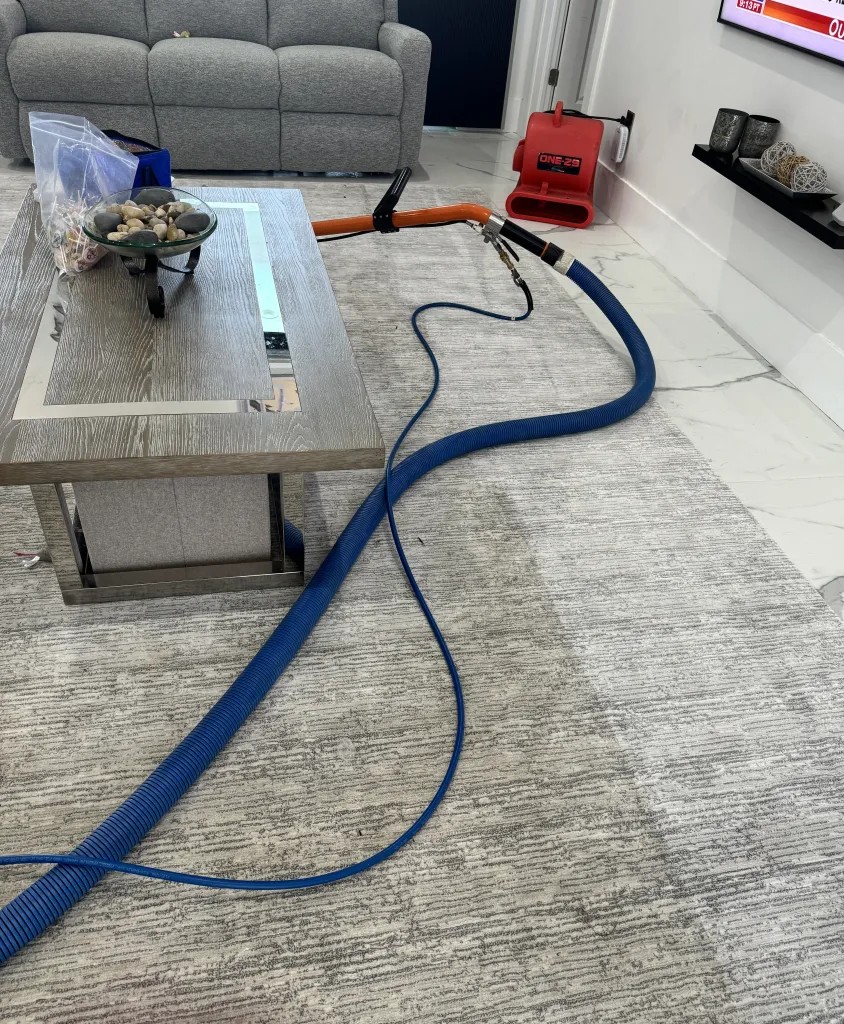 St. Louis carpet cleaning