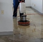 carpet cleaning st. louis