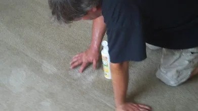 carpet cleaning St. Louis